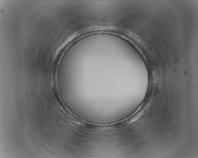 X0000067511165200605051822