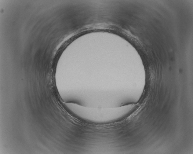 X0000067511166200605051822