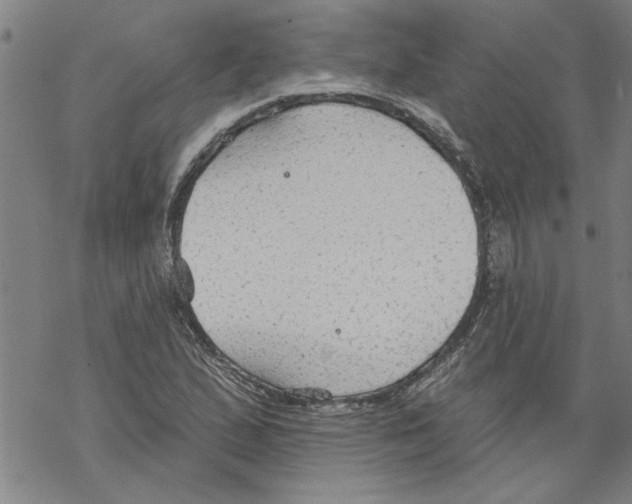 X0000067511167200605051822