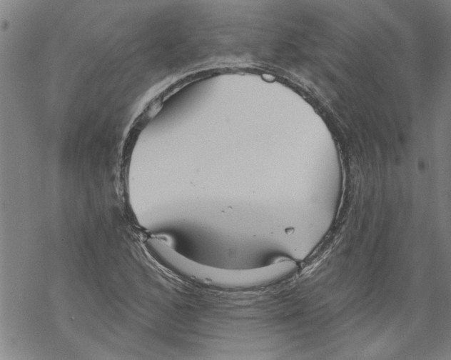 X0000067511168200605051822