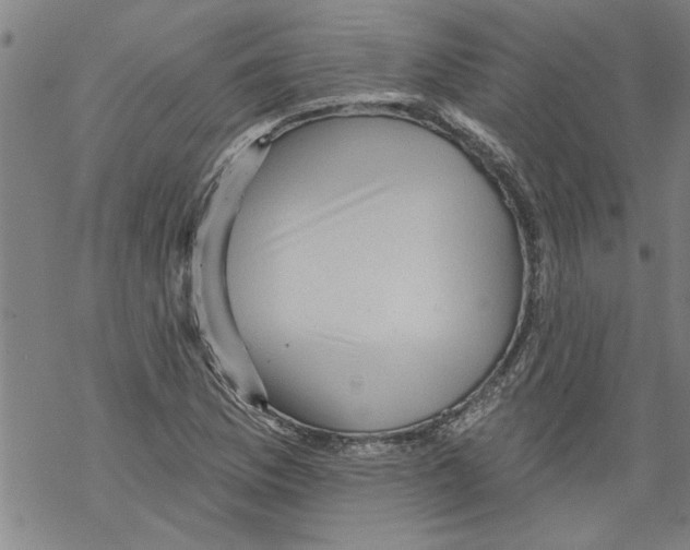 X0000067511169200605051822