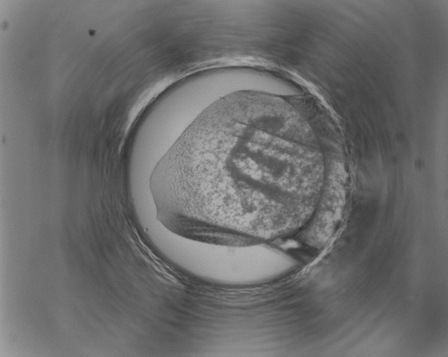 X0000067511171200605051821