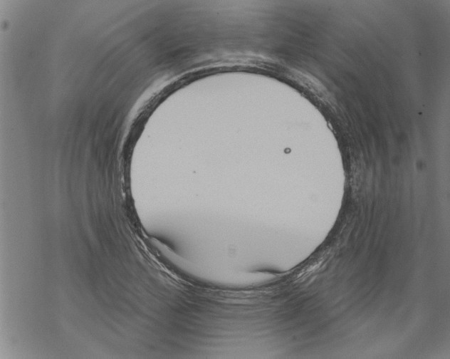 X0000067511172200605051821