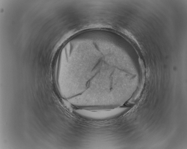 X0000067511173200605051821