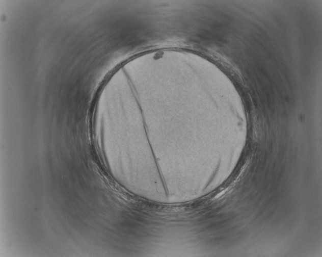 X0000067511174200605051821