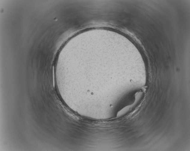 X0000067511175200605051821