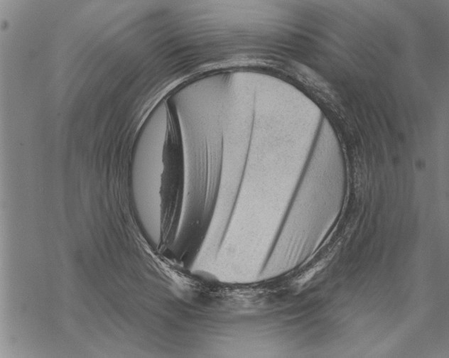 X0000067511177200605051821