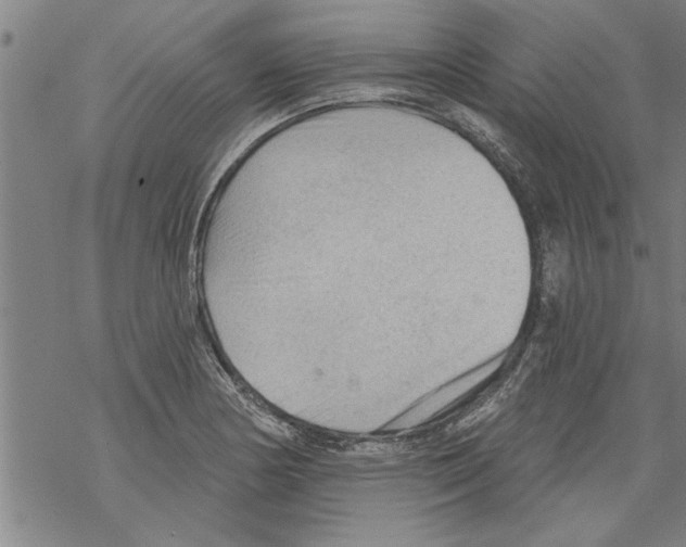 X0000067511178200605051821