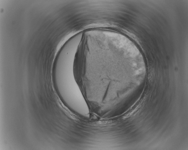 X0000067511179200605051821