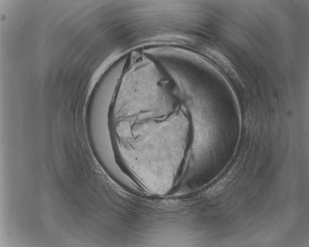 X0000067511180200605051821