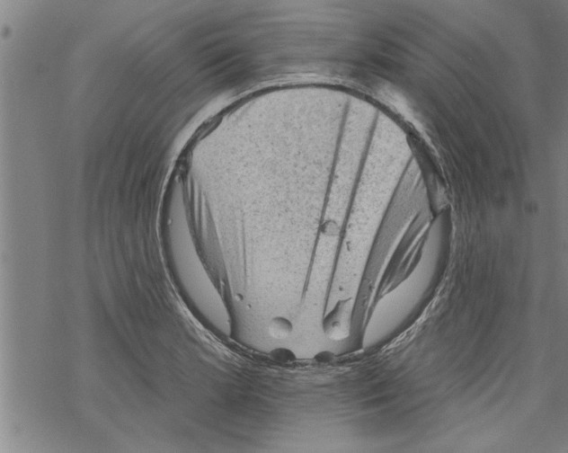 X0000067511181200605051821