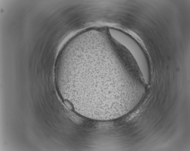 X0000067511183200605051821