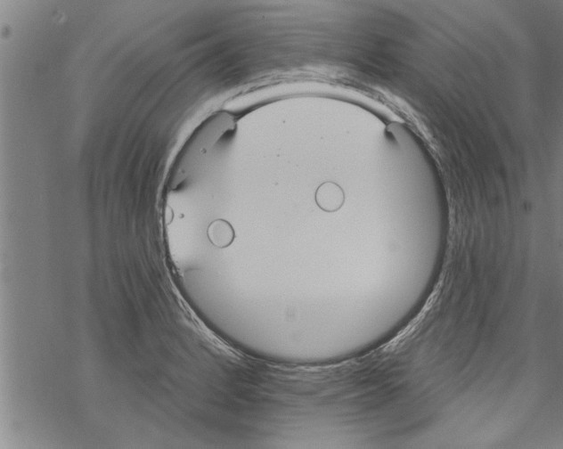 X0000067511184200605051821