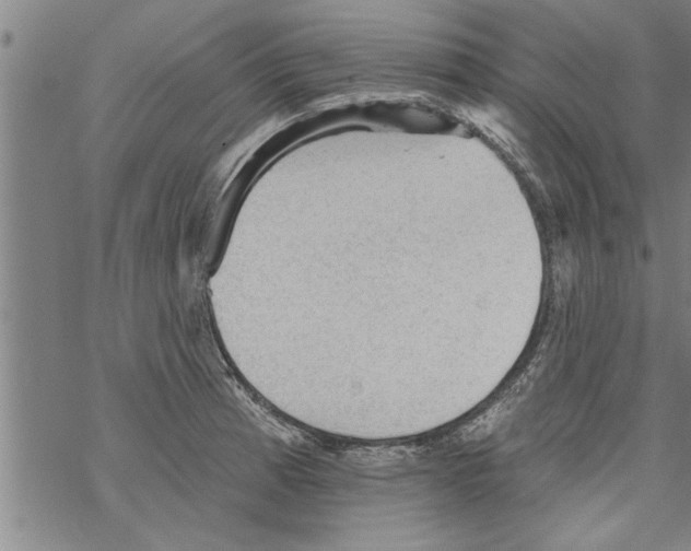 X0000067511185200605051821