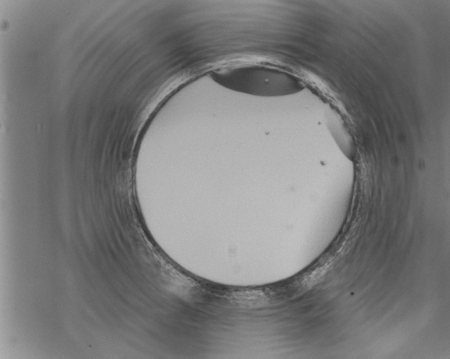 X0000067511186200605051821