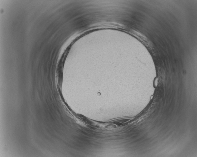 X0000067511188200605051821