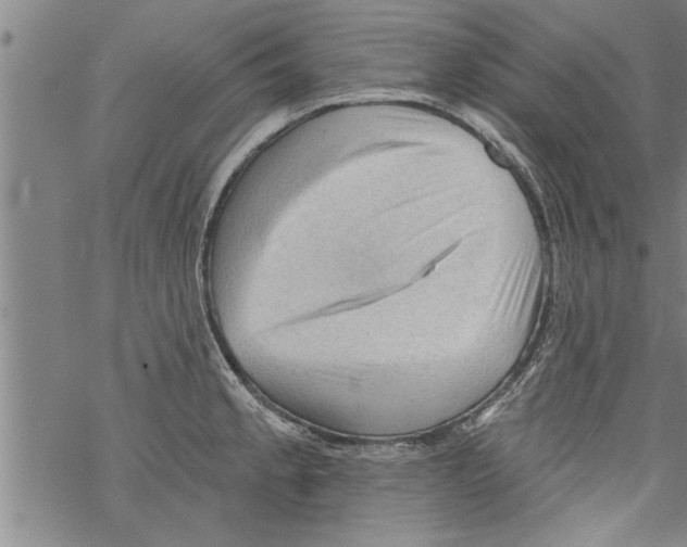 X0000067511189200605051821