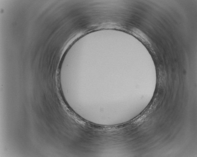 X0000067511190200605051821