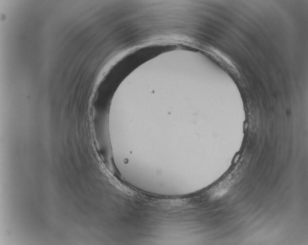 X0000067511192200605051821