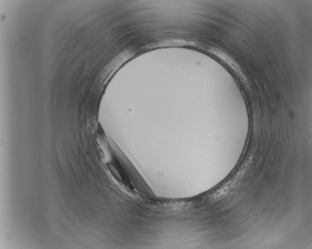 X0000067511193200605051821