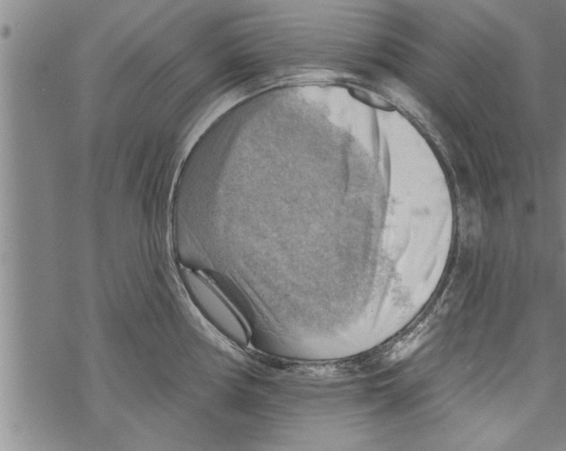 X0000067511194200605051821