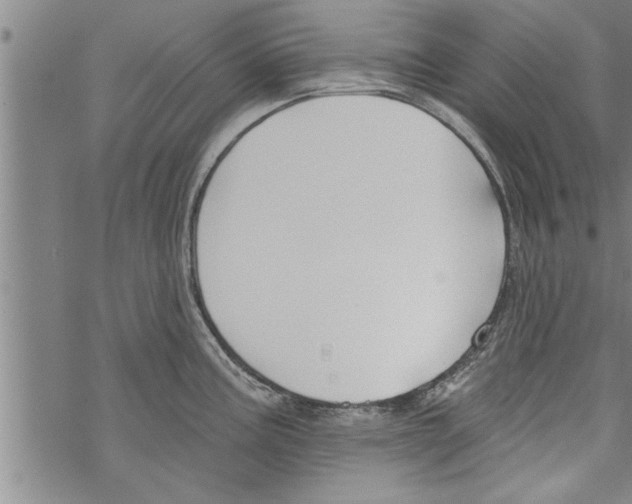 X0000067511195200605051821