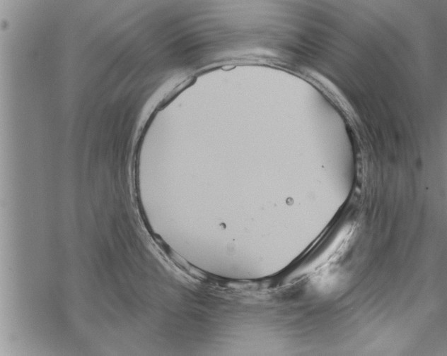 X0000067511196200605051821