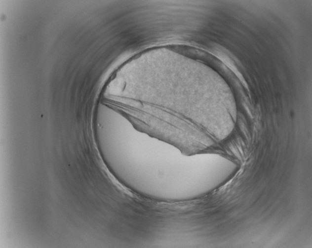 X0000067511197200605051821