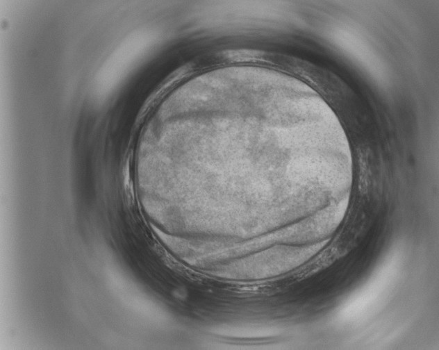 X0000067511198200605051821