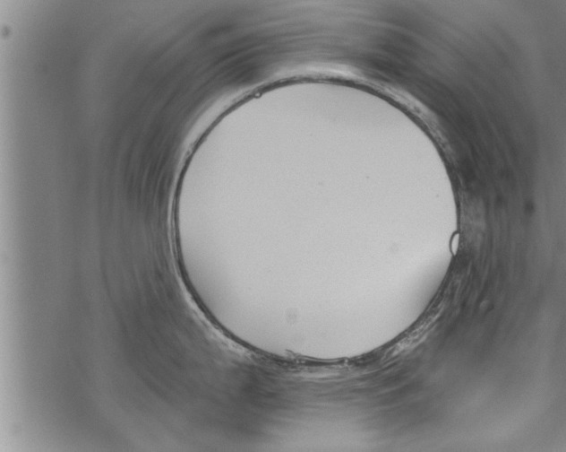 X0000067511199200605051821