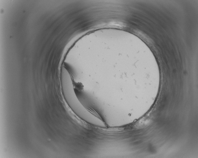 X0000067511200200605051821