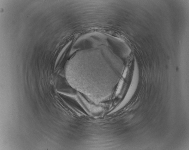 X0000067511202200605051820