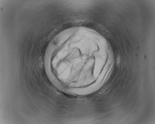 X0000067511204200605051820