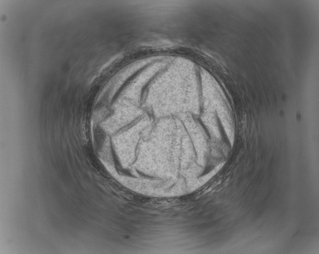 X0000067511205200605051820