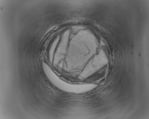 X0000067511206200605051820