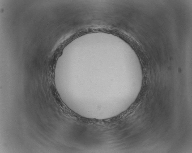 X0000067511207200605051820