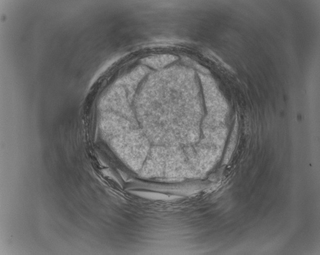 X0000067511208200605051820