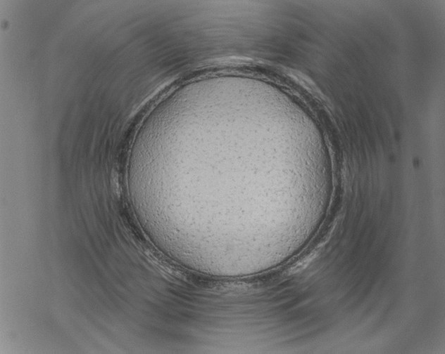 X0000067511209200605051820