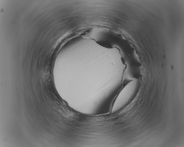 X0000067511210200605051820