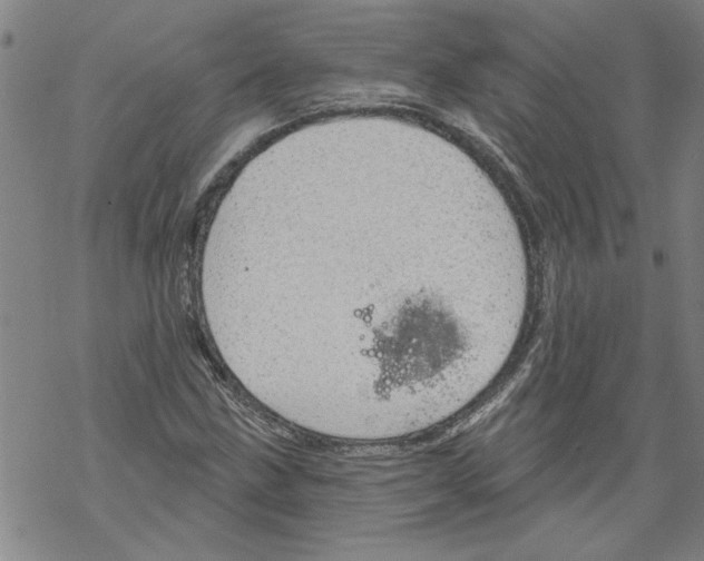 X0000067511211200605051820