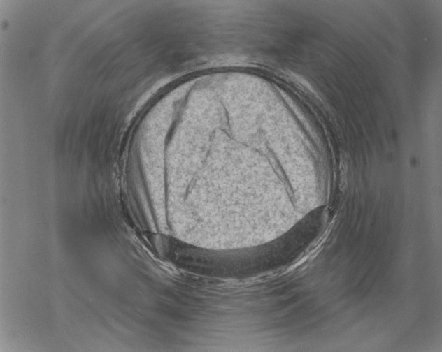 X0000067511212200605051820