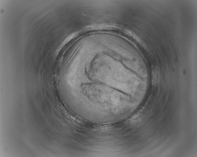 X0000067511213200605051820