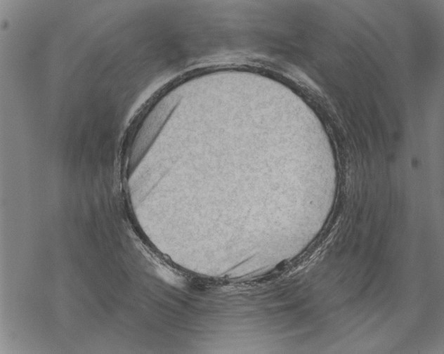 X0000067511216200605051820