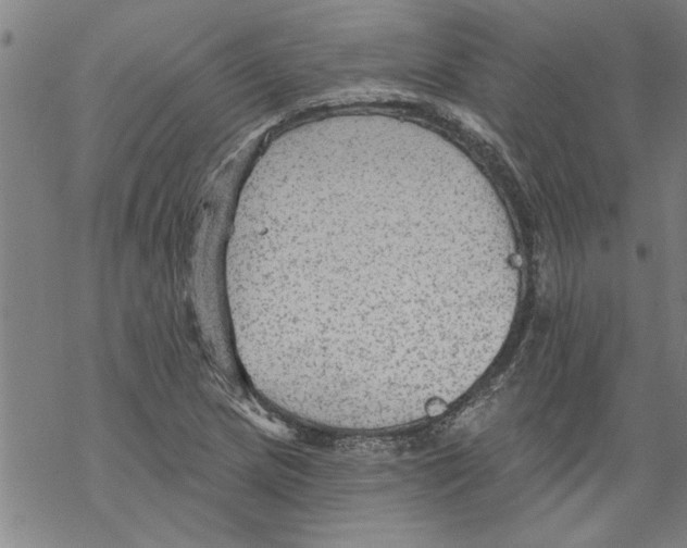 X0000067511217200605051820