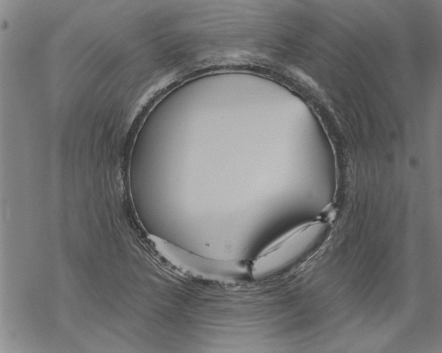 X0000067511218200605051820