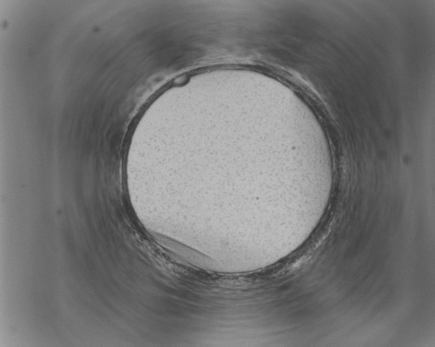 X0000067511220200605051820