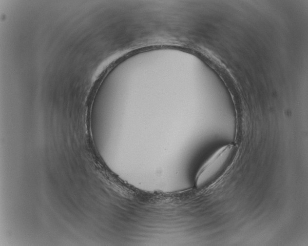 X0000067511222200605051821