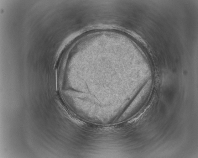 X0000067511223200605051821