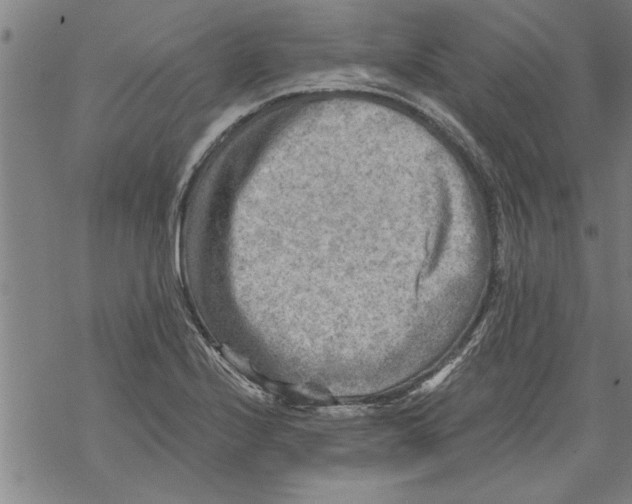 X0000067511224200605051821