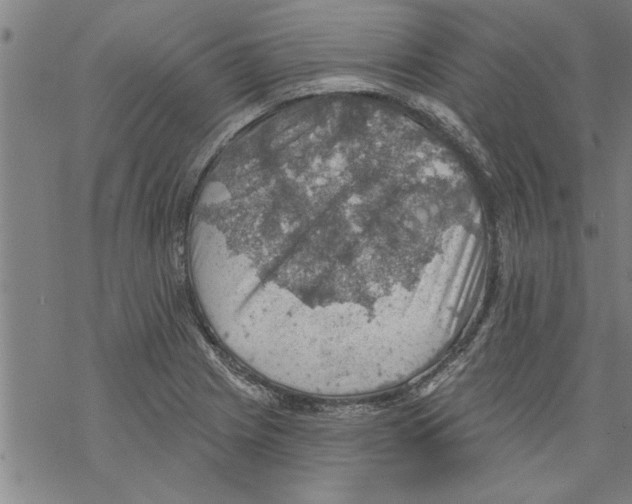 X0000067511225200605051821